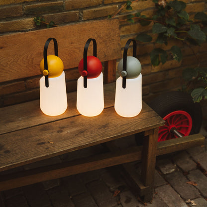 Guidelight & Hook Set