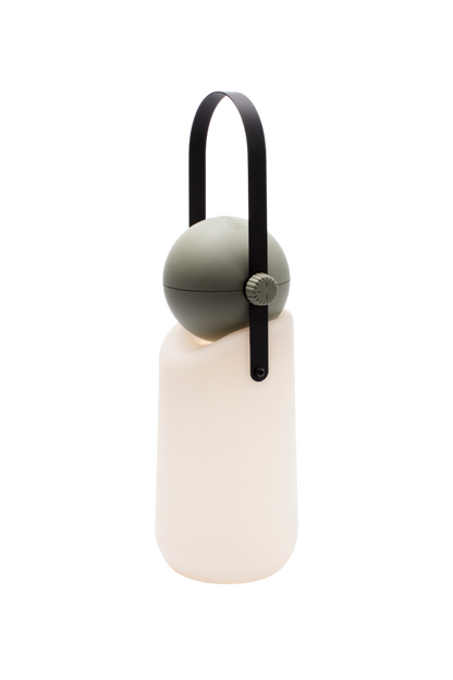 Guidelight & Hook Set