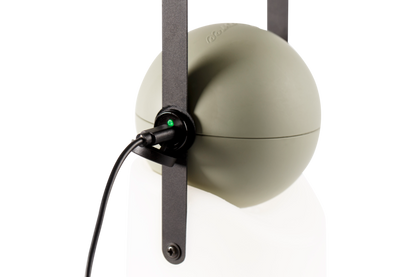 Guidelight & Hook Set