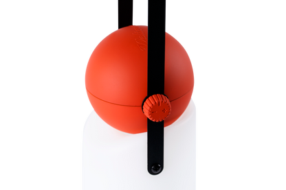 Guidelight & Hook Set