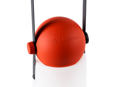 Guidelight & Hook Set