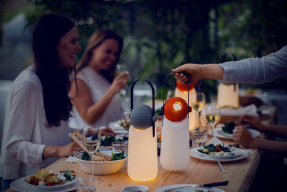 Guidelight & Hook Set