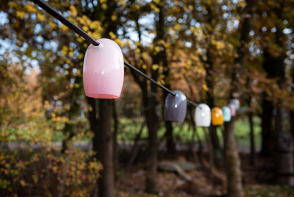 Stringlight Coloured