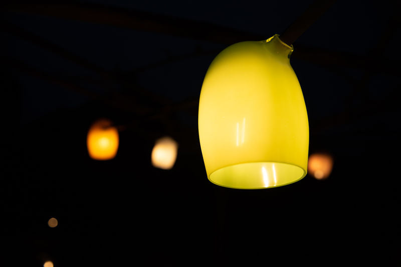 Stringlight Coloured